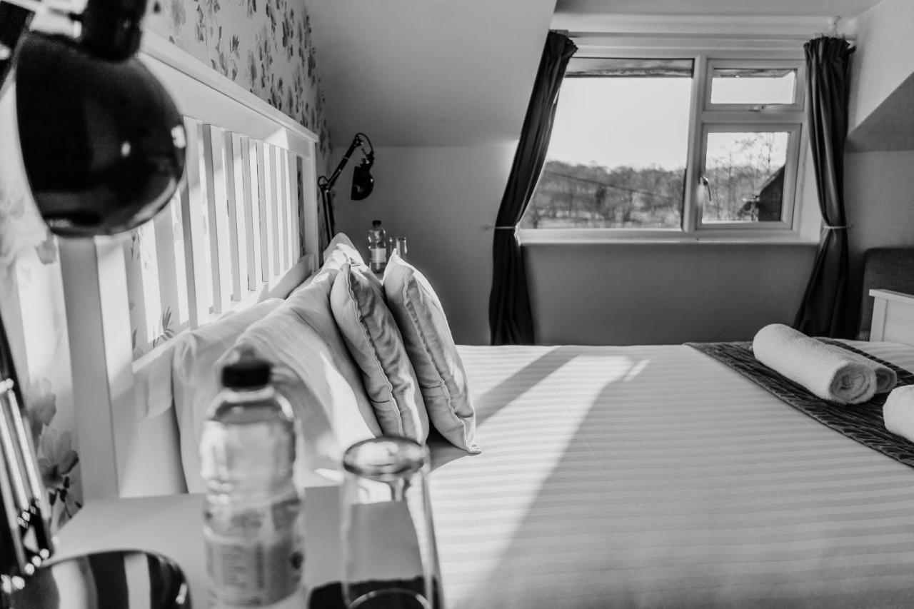 Three Wells B&B ランドリンドッド・ウェルズ エクステリア 写真